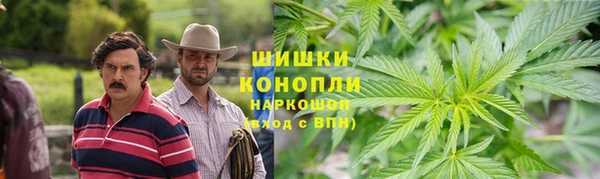 дживик Балахна