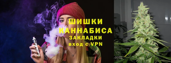 PSILOCYBIN Балабаново