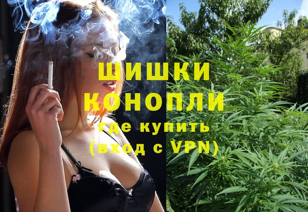 PSILOCYBIN Балабаново