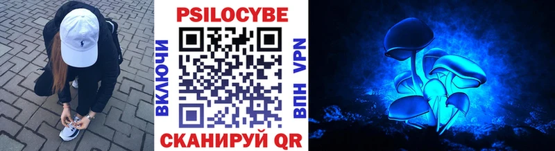 Псилоцибиновые грибы Psilocybe  blacksprut зеркало  Губаха 