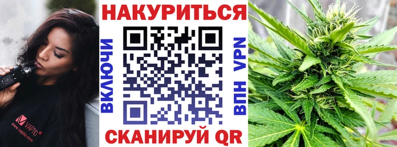 Шишки марихуана OG Kush Губаха